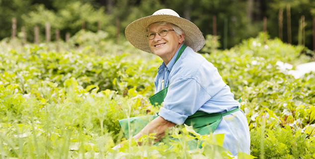 Produtora rural tem direito à aposentadoria por idade